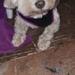 WhatsApp Bild 2023-08-18 um 22.06.17